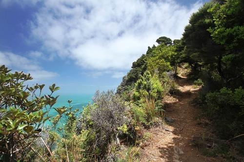 Waitakere Ranges, la côte sauvage dAuckland nouvelle zelande ile nord a la une 