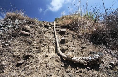Waitakere Ranges, la côte sauvage dAuckland nouvelle zelande ile nord a la une 