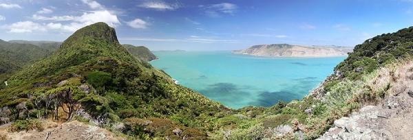 Waitakere Ranges, la côte sauvage dAuckland nouvelle zelande ile nord a la une 