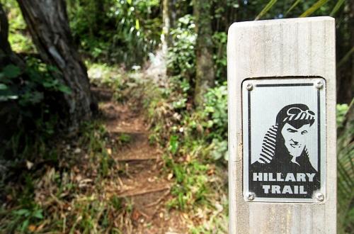 Waitakere Ranges, la côte sauvage dAuckland nouvelle zelande ile nord a la une 
