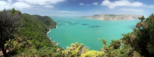 Waitakere Ranges, la côte sauvage dAuckland nouvelle zelande ile nord a la une 