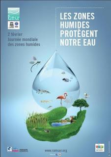 Journée mondiale des zones humides Journée mondiale des zones humides