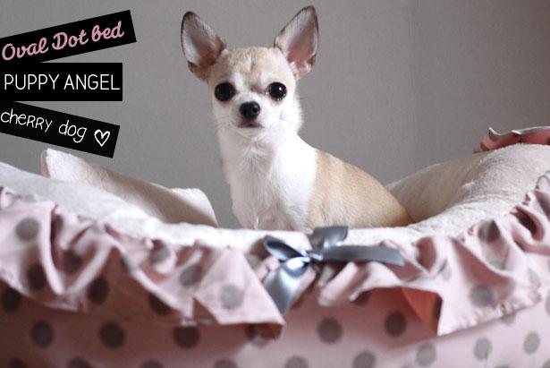 Paniers Puppy Angel pour chiens : Oval Dot
