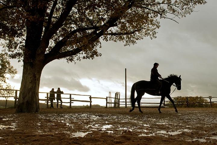 Découvrez l’affiche du film « Jappeloup » avec Guillaume Canet au cinéma le 13 mars jappeloup3