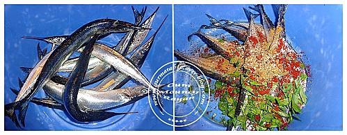 Aiguilles Frites 059-copie-1.JPG