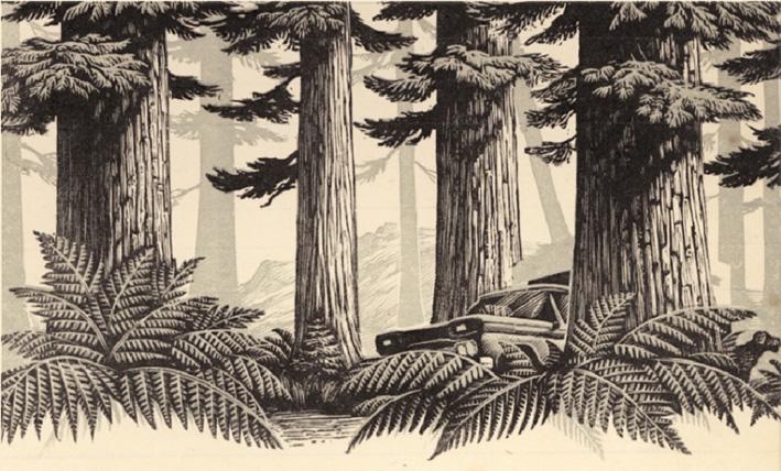 jaquette Semainier 4 (du 21 au 27 janvier 2013)