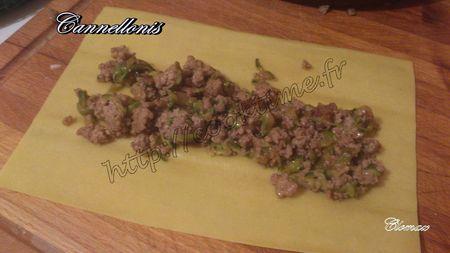 ClomaxDSC_0392-20130130-192425