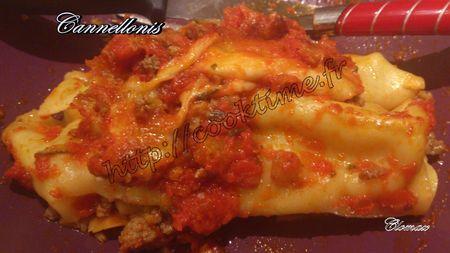 ClomaxDSC_0394-20130130-211025