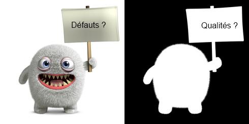 un jour , un mot: D qualite-defaut2