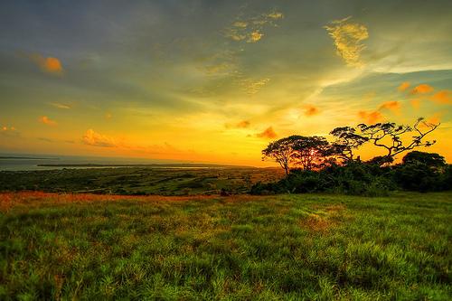 LES AMIS DANS LE NOUVEAU MONDE – les premiers pas 13 paysage-keagean-park.jpg