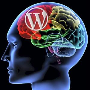 La pensée WordPress selon Julio pensee-wordpress