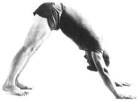 Exercices pour gens pressés rite_5_2