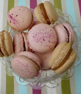 Macarons ....il y a de l'amélioration... macarons