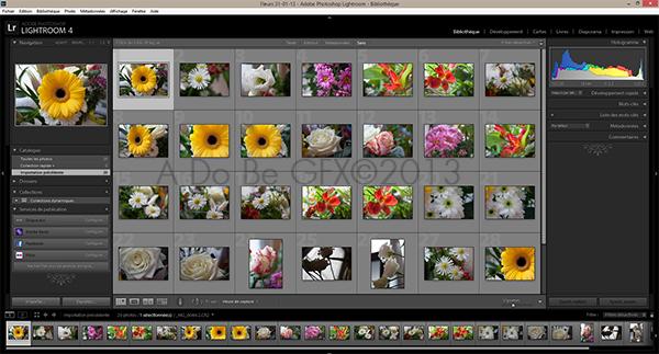 Creer un catalogue sous Lightroom Catalogue créé