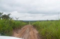 De la source d'Ibi au Puit de Carbone La piste devant nous
