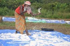 De la source d'Ibi au Puit de Carbone Sèchage