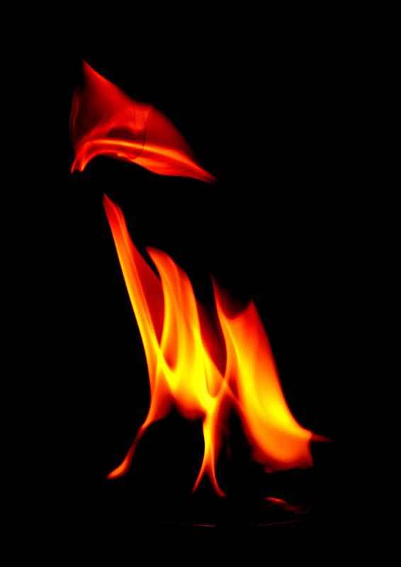 Le feu, c'est joli mais ça brûle Le feu, c'est joli mais ça brûle