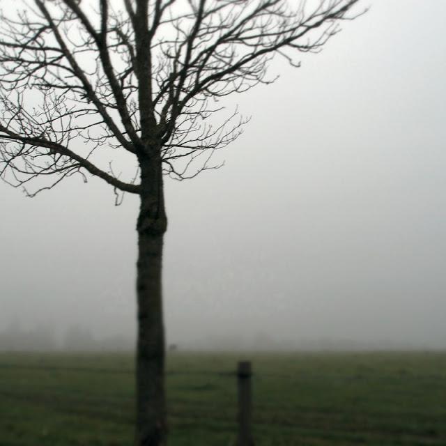Japonisme : 霧, brouillard