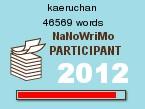 Nanowrimo : Bilan d'un mois de novembre d'écriture !