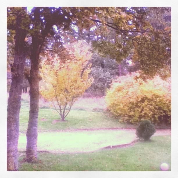 Quand le chat n'est pas là, les souris dansent Quand le chat n'est pas là, les souris dansent