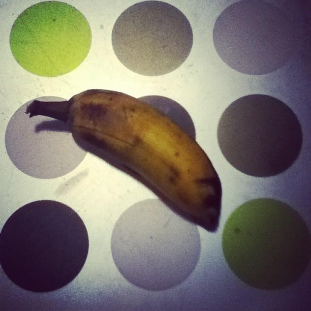 Quand le chat n'est pas là, les souris dansent Quand le chat n'est pas là, les souris dansent