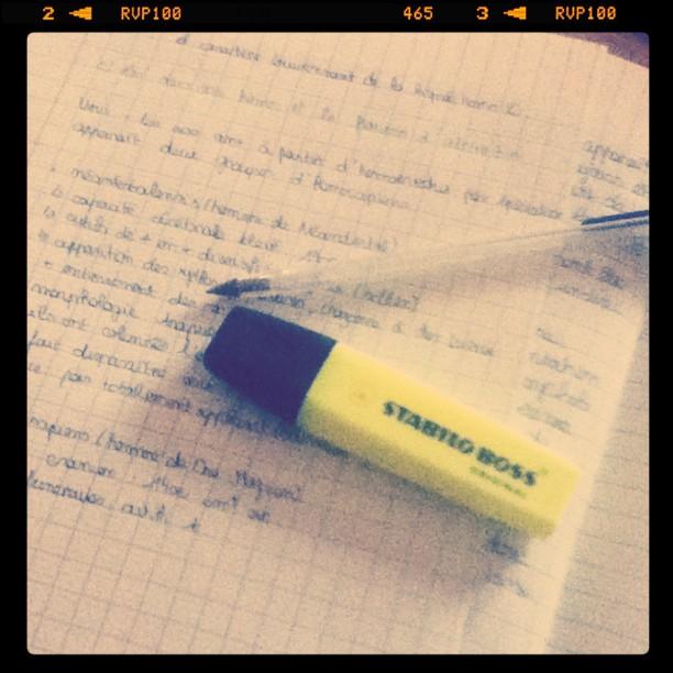 Quand le chat n'est pas là, les souris dansent Quand le chat n'est pas là, les souris dansent