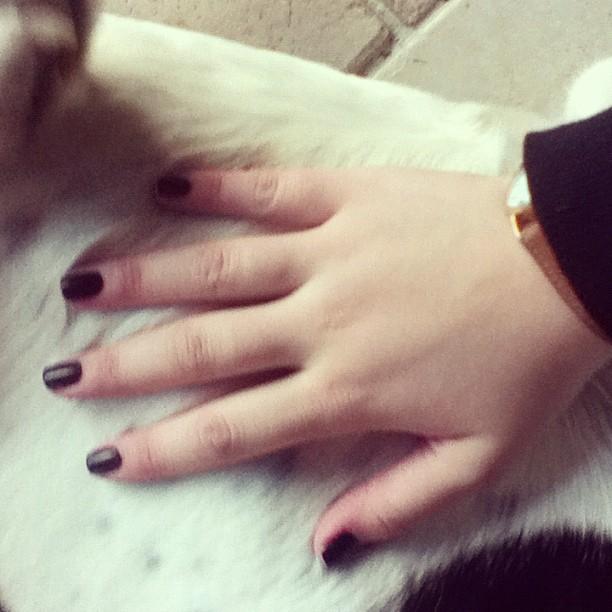 Quand le chat n'est pas là, les souris dansent Quand le chat n'est pas là, les souris dansent