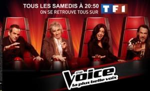 Les nouveautés de la saison 2 de l’émission The Voice ! the voice