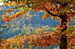 La prière du coeur P1180292.jpg