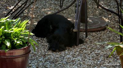 Depuis la dernière fois, j'ai évolué puisqu'à partir du c... Depuis la dernière fois, j'ai évolué puisqu'à partir du c...
