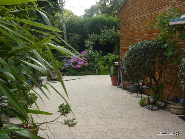 Depuis la dernière fois, j'ai évolué puisqu'à partir du c... Depuis la dernière fois, j'ai évolué puisqu'à partir du c...