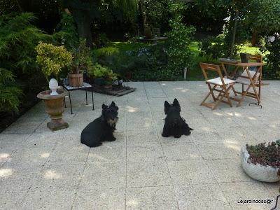 Depuis la dernière fois, j'ai évolué puisqu'à partir du c... Depuis la dernière fois, j'ai évolué puisqu'à partir du c...