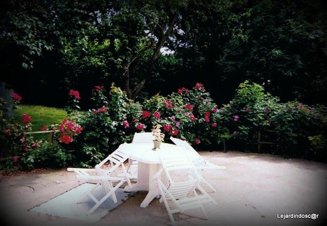 Depuis la dernière fois, j'ai évolué puisqu'à partir du c... Depuis la dernière fois, j'ai évolué puisqu'à partir du c...