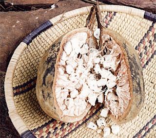 Recette du pays: jus de baobab Recette du pays: jus de baobab