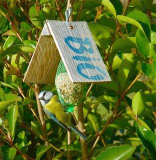 N'oubliez pas les oiseaux ! N'oubliez pas les oiseaux !
