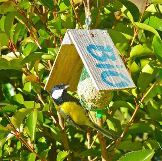 N'oubliez pas les oiseaux ! N'oubliez pas les oiseaux !