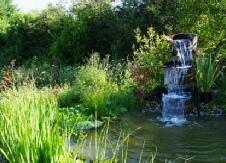 Des plantes - une roseraie - la saint valentin : Y’a-t-il à développer ? Des plantes - une roseraie - la saint valentin : Y’a-t-il à développer ?