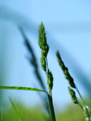 Blog Zero Carbone ! Blog Zero Carbone !