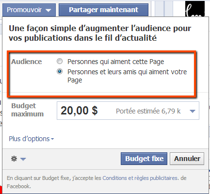 cible_promotion_facebook cible promotion facebook Facebook promoted posts: un outil diablement efficace pour booster votre page pro