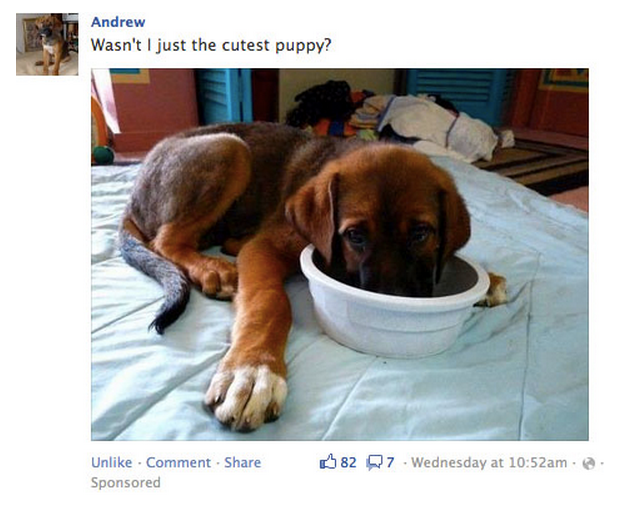 promoted_posts_preview promoted posts preview Facebook promoted posts: un outil diablement efficace pour booster votre page pro