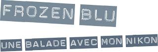 Frozen Blu {balade avec mon nikon} Frozen Blu {balade avec mon nikon}