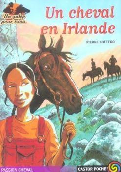 Challenge Auteurs… Couverture Un cheval en Irlande