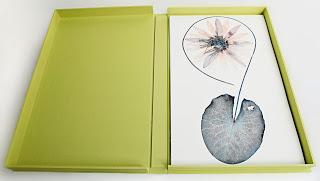 Le photographe Nick Knight présente FLORA Le photographe Nick Knight présente FLORA