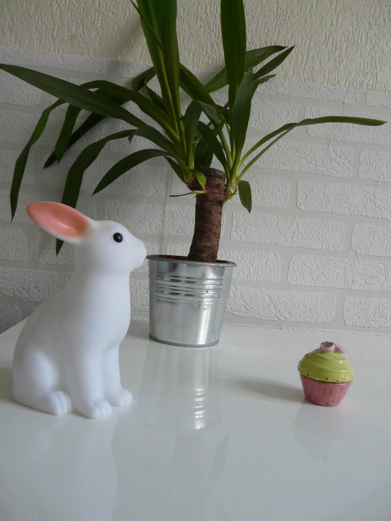 Un peu de déco Un peu de déco