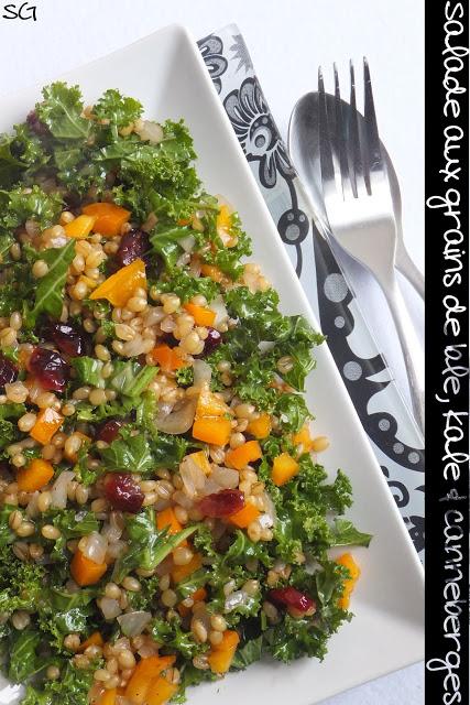 Salade de grains de blé, kale & canneberges Salade de grains de blé, kale & canneberges
