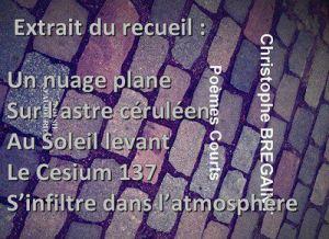 « Poèmes courts » l’avis d’un lecteur nuage