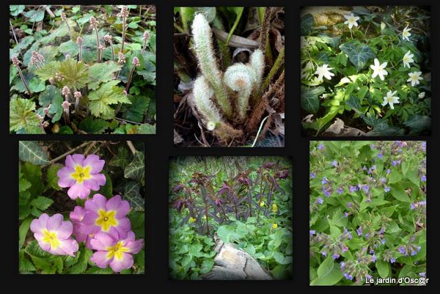 L'idée de Nikki... L'idée de Nikki...