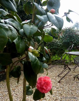 L'idée de Nikki... L'idée de Nikki...