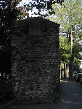 IMG_3985 IMG_3985
