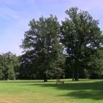 Archi-Urbain_Parc_Wolvendael TELEVISION : Emissions de la saison 12/13